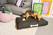 Load image into Gallery viewer, Dog Standing on a Thunder Grey Fatboy Doggielounge Large Outdoor Dog Bed