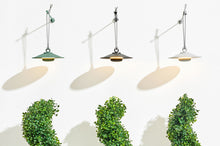 Load image into Gallery viewer, Chap-O Wireless Hanging Lamp