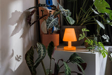 Load image into Gallery viewer, Edison The Ambiance