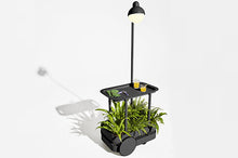 Load image into Gallery viewer, Anthracite Jolly Trolley Lighted Bar Cart