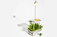 Load image into Gallery viewer, Light Grey Fatboy Jolly Trolley with Plants