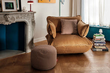 Load image into Gallery viewer, Point Terry