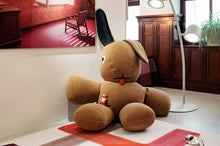 Load image into Gallery viewer, Latte Fatboy CO9 Teddy in a Room