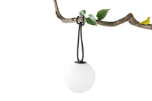 Load image into Gallery viewer, Anthracite Fatboy Bolleke Lamp on a Tree Branch
