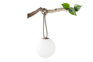Taupe Fatboy Bolleke Lamp Hanging from a Tree Branch