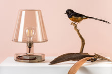Load image into Gallery viewer, Brown Fatboy Transloetje Table Lamp on a Table