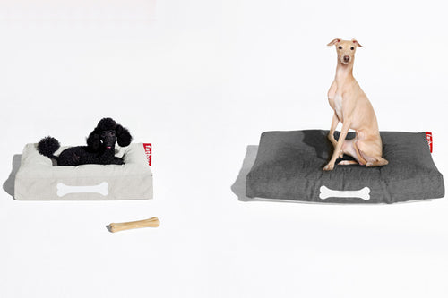 Dog Sitting on a Rock Grey Fatboy Doggielounge Large Outdoor Dog Bed