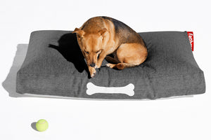 Dog Laying on a Rock Grey Fatboy Doggielounge Small Outdoor Dog Bed