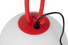 Load image into Gallery viewer, Bolleke x MIffy
