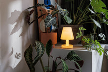 Load image into Gallery viewer, Edison The Ambiance
