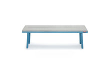 Load image into Gallery viewer, Fred's Bench Pillow
