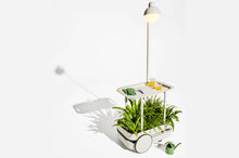Load image into Gallery viewer, Light Grey Fatboy Jolly Trolley with Plants

