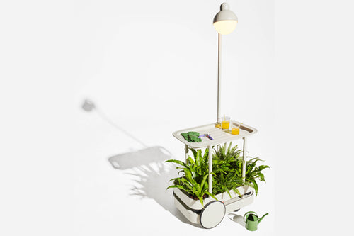 Light Grey Fatboy Jolly Trolley with Plants