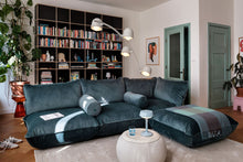 Load image into Gallery viewer, Puff Rolster Recycled Velvet Pillow
