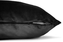 Load image into Gallery viewer, Square Recycled Velvet Accent Pillow
