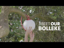 Load and play video in Gallery viewer, Bolleke Hanging Lamp
