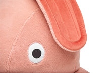 Load image into Gallery viewer, Closeup of Cheeky Pink Fatboy CO9 Teddy

