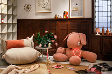 Load image into Gallery viewer, Cheeky Pink Fatboy CO9 Teddy in a Room
