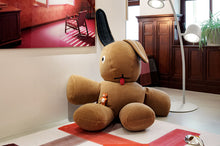 Load image into Gallery viewer, Latte Fatboy CO9 Teddy in a Room
