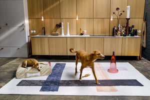 Dog on Small Camel Fatboy Doggielounge Recycled Velvet Dog Bed