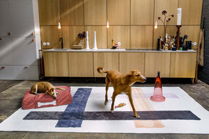 Dog on Small Rhubarb Fatboy Doggielounge Recycled Velvet Dog Bed