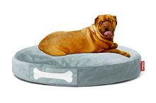 Load image into Gallery viewer, Dog Laying on a Calcite Blue Fatboy Doggielounge Velvet Dog Bed
