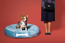 Load image into Gallery viewer, Dog Sitting on a Calcite Blue Fatboy Doggielounge Velvet Dog Bed
