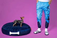 Load image into Gallery viewer, Dog Sitting on a Dark Blue Fatboy Doggielounge Velvet Dog Bed

