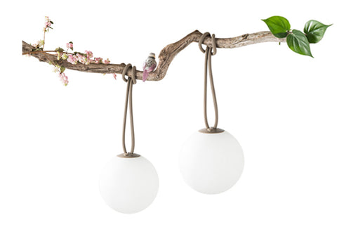 2 Fatboy Bolleke Lamps Hanging from a Tree Branch
