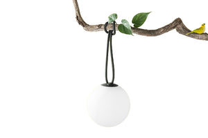 Anthracite Fatboy Bolleke Lamp Hanging on a Tree Branch