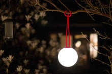 Load image into Gallery viewer, Red Fatboy Bolleke Lamp on a Tree Branch at Night
