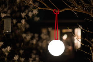 Red Fatboy Bolleke Lamp on a Tree Branch at Night