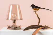 Load image into Gallery viewer, Brown Fatboy Transloetje Table Lamp on a Table
