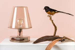 Brown Fatboy Transloetje Table Lamp on a Table